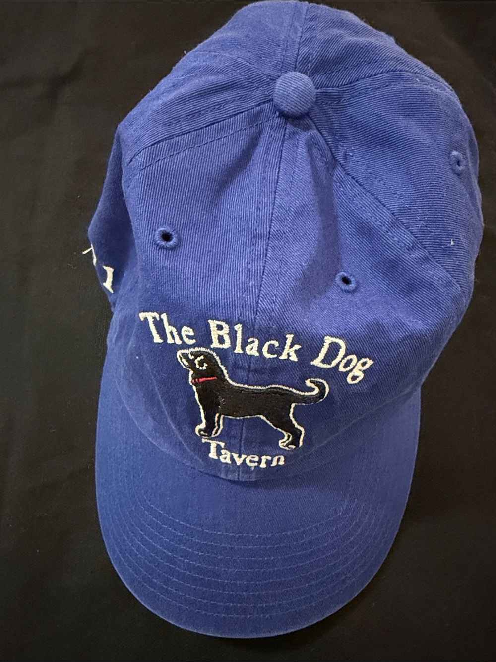 The Black Dog Tavern 47 Brand Baseball Hat